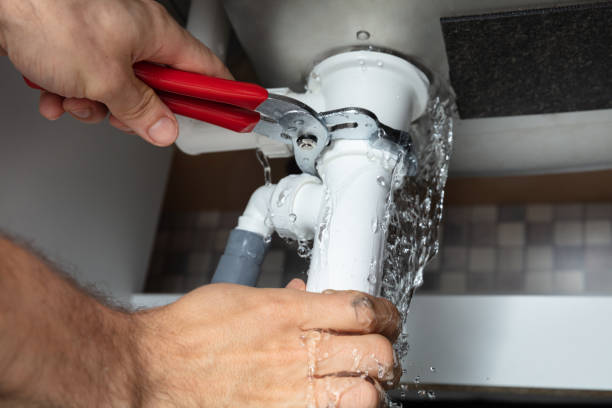 Best Sewage cleanup and water damage restoration  in Ansonia, OH