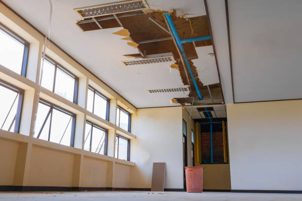 Best Local water damage restoration  in Ansonia, OH