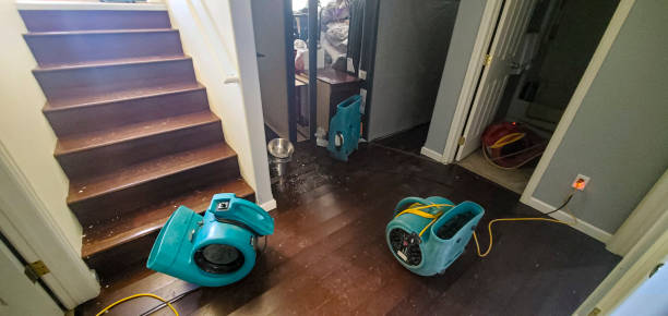 Best Water damage mitigation services  in Ansonia, OH