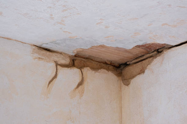 Best Water damage contractors near me  in Ansonia, OH