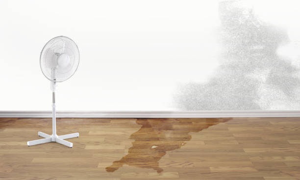 Best Emergency water damage restoration  in Ansonia, OH