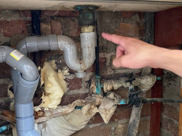 Best Mold removal after water damage  in Ansonia, OH