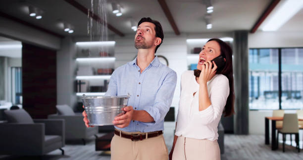 Best Water damage cleanup near me  in Ansonia, OH